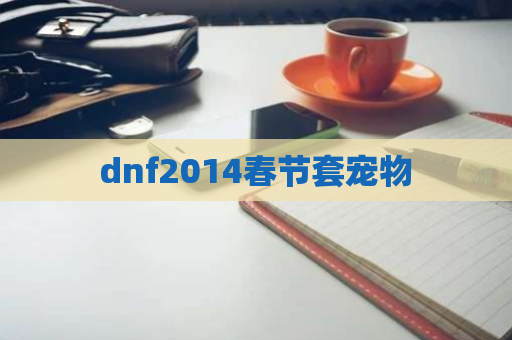 dnf2014春节套宠物